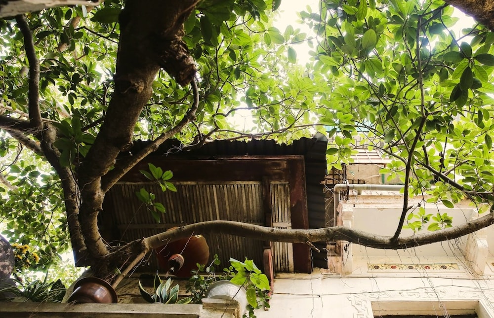 singita classy boutique hotel