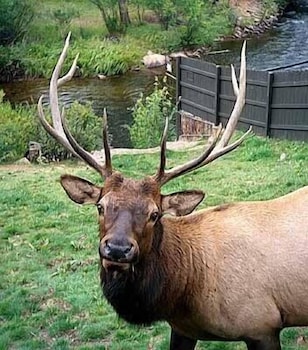 estes park