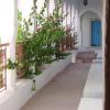 hotel arisha