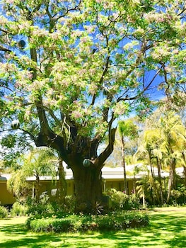 the swan valley hotel