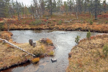 kuukkeli log houses aurora resort