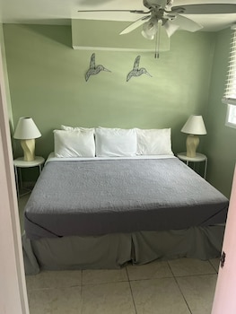 the frederiksted hotel