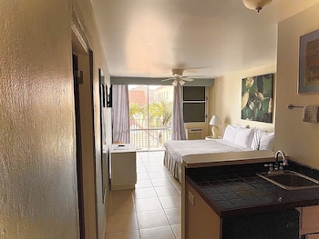 the frederiksted hotel