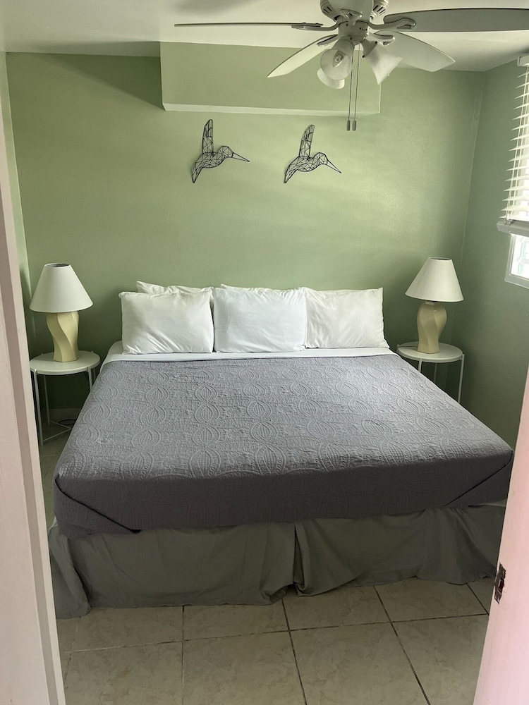 the frederiksted hotel