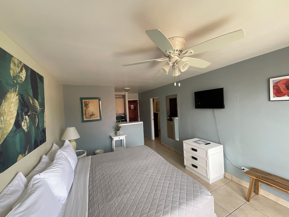 the frederiksted hotel