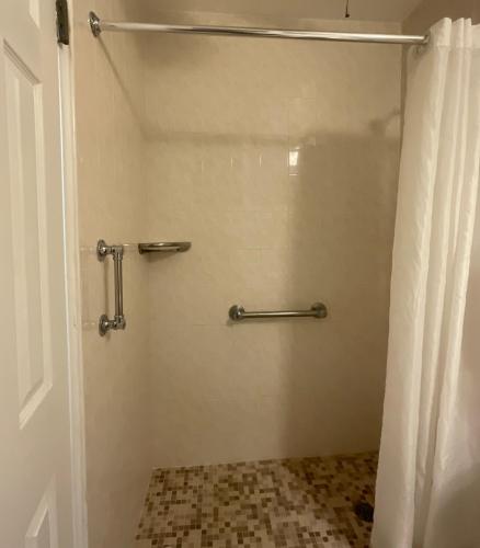 the frederiksted hotel