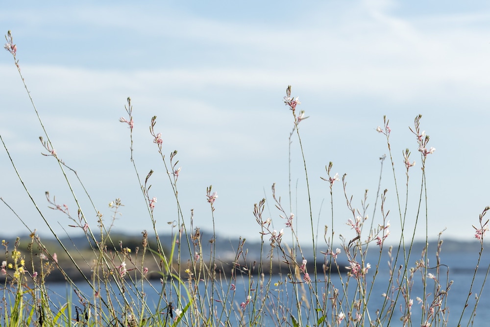 six fours les plages