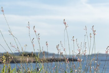 six fours les plages
