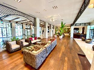 sono belle hai phong