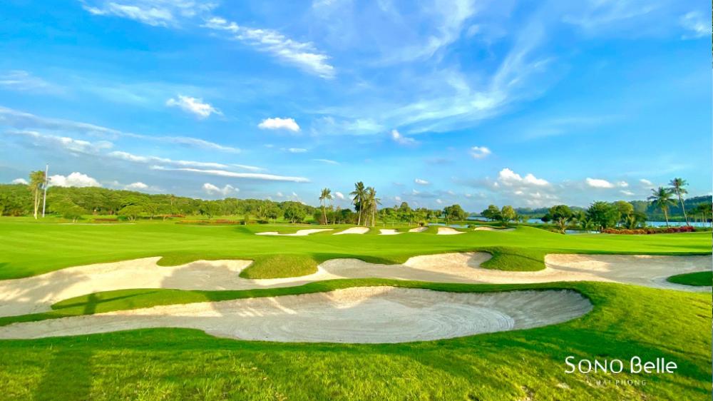 sono belle hai phong