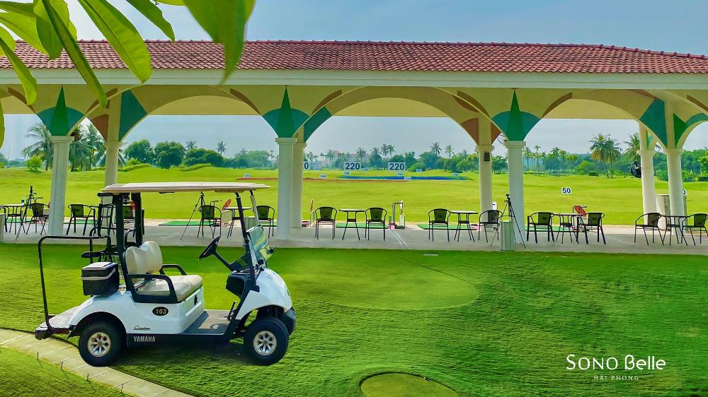 sono belle hai phong