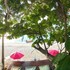 the hideaway pariya haad yuan ko pha ngan