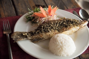 the hideaway pariya haad yuan ko pha ngan