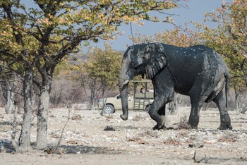 etosha mountain lodge