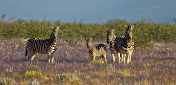 etosha mountain lodge