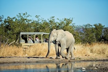 etosha mountain lodge