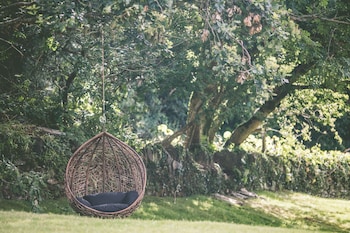 boringdon hall hotel and spa