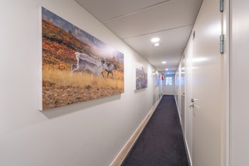 kuukkeli saariselka inn