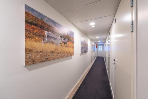 kuukkeli saariselka inn