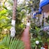 hiline hotels and resorts