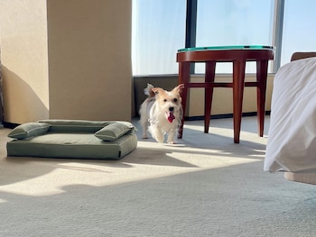 grand prince hotel osaka bay