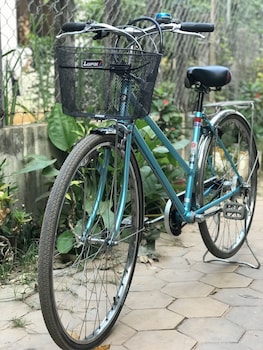 siem reap homesteading