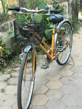 siem reap homesteading