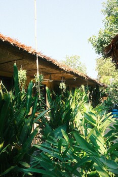 siem reap homesteading