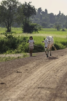 siem reap homesteading