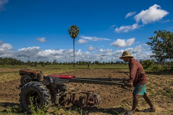 siem reap homesteading