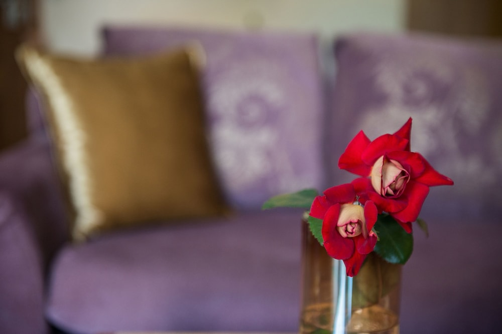 cretan dream resort and spa