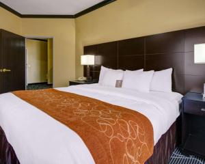 comfort suites lake ray hubbard