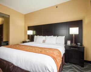 comfort suites lake ray hubbard