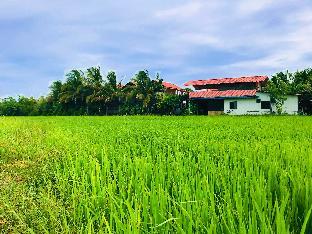 rivonway hotel and tours polonnaruwa