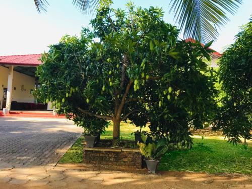 rivonway hotel and tours polonnaruwa