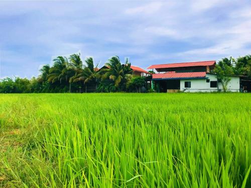 rivonway hotel and tours polonnaruwa