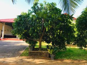 rivonway hotel and tours polonnaruwa