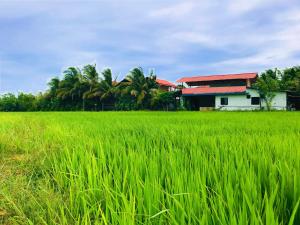 rivonway hotel and tours polonnaruwa