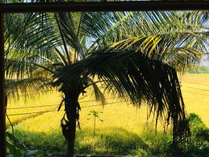 rivonway hotel and tours polonnaruwa