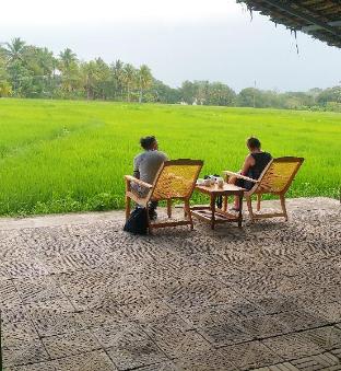 rivonway hotel and tours polonnaruwa