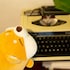 daegu gyeongs hostel foreigner only