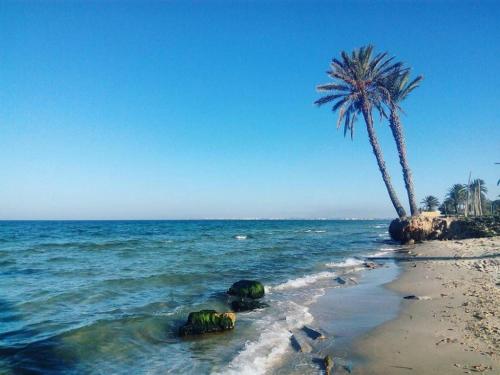monastir