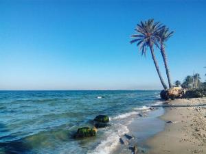 monastir