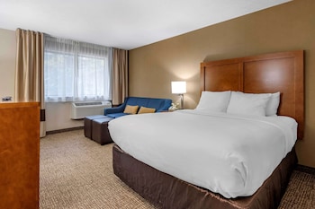 comfort inn and suites montpelier berlin
