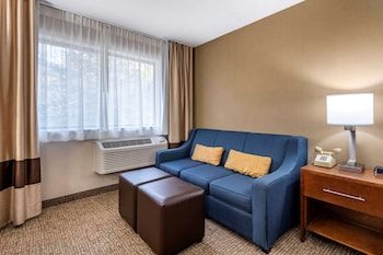 comfort inn and suites montpelier berlin