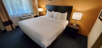 comfort inn and suites montpelier berlin
