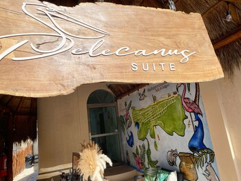 hotel pelecanus suites