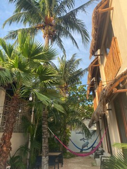 hotel pelecanus suites