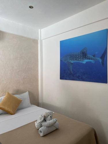 hotel pelecanus suites