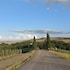 montalcino